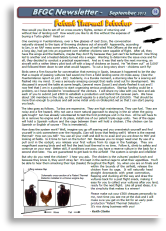 Thermal Detector.pdf