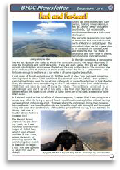 Fast and Furious.pdf